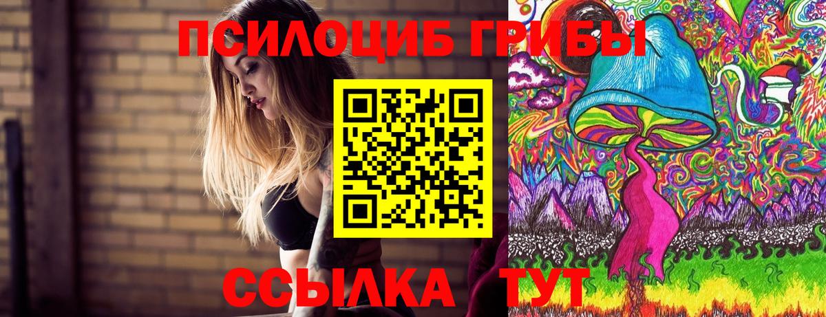Галлюциногенные грибы MAGIC MUSHROOMS  Вход с VPN  где найти наркотики  Галлюциногенные грибы прущие грибы  Каменск-Уральский 