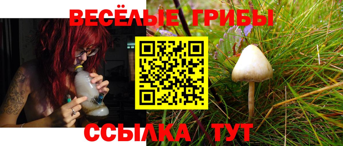 Псилоцибиновые грибы прущие грибы Каменск-Уральский